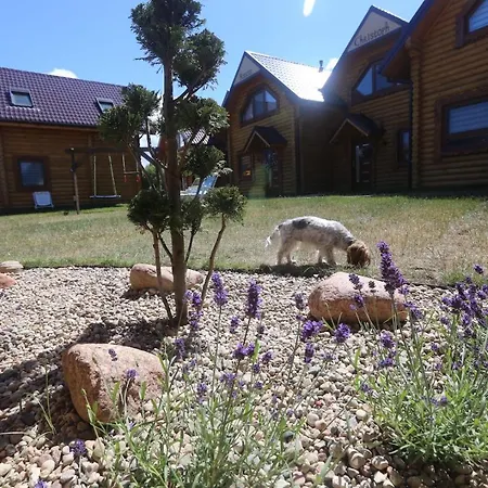 Sosnowe Holiday park *