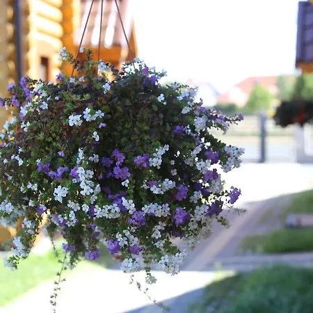 Sosnowe 別荘 レバル