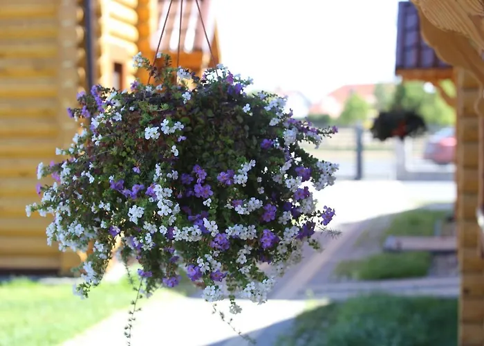 Sosnowe Nyaraló Rewal